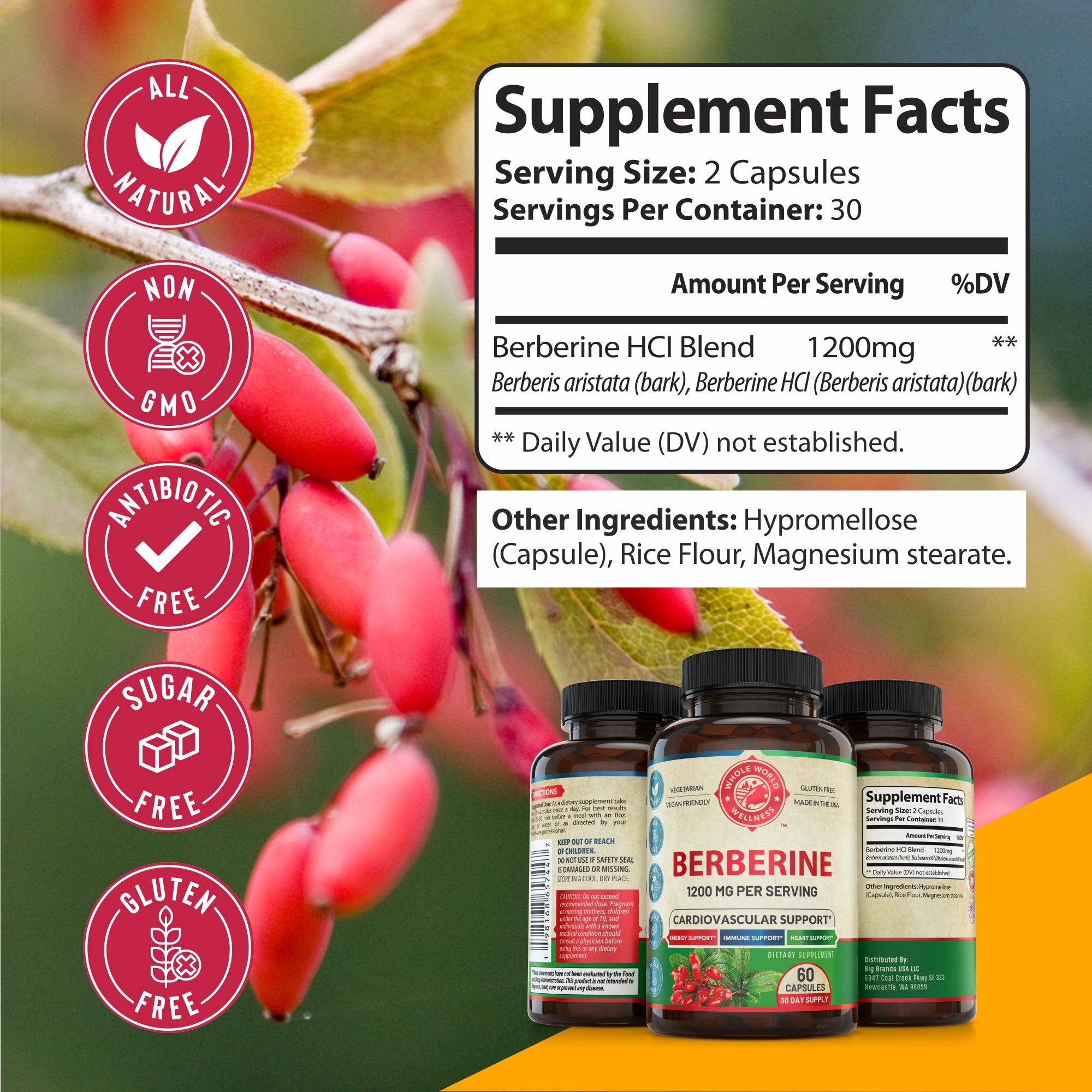Berberine Supplement